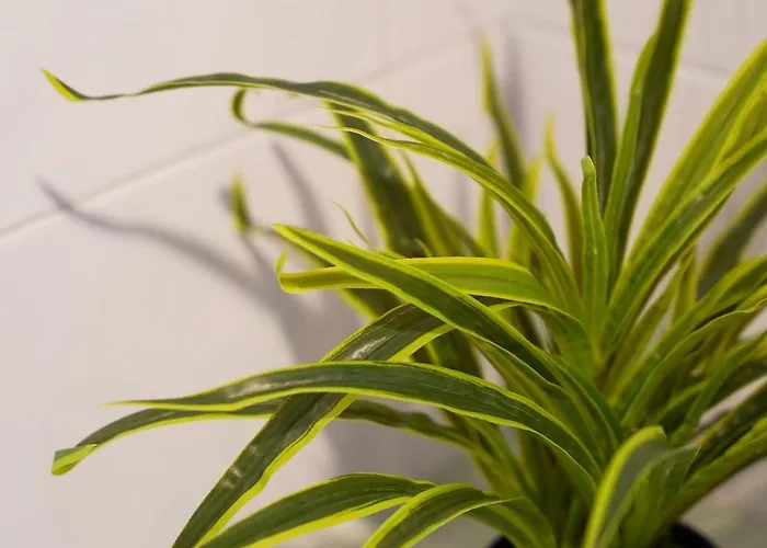 La Maison Abaselle - 10 Personnes - Jardin * Tarbes